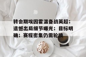 关于转会期埃因霍温备战英超；遗憾出局细节曝光；目标明确；赛程密集仍需轮换的信息-九游娱乐游戏